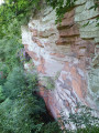 Ballochmyle Viaduct from Catrine