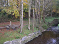 Ballymoyer Woodland path