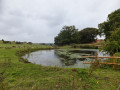 The Wensum Way - Dereham to Lenwade