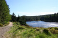 Banagher Forest Walk