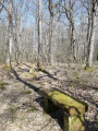 Banc et croix Jeanette Banc et croix Jeanette