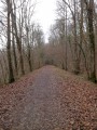 La Forêt de Méridon et l'Ancienne Voie Ferrée de Montabé