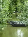 Le Marais Poitevin à Arçais