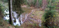 Barrage de castors Barrage de castors
