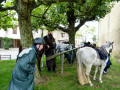 Barre d'attache