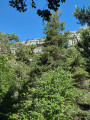A rocky outcrop which we will go round