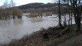 Le Rhin en crue en face du Isteiner Klotz