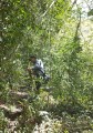 Bartas après Arifat
