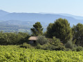 Bas de Buisson en direction de Villedieu