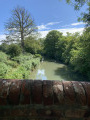 Around Dogmersfield on the Basingstoke Canal (short walk)
