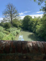 Basingstoke canal