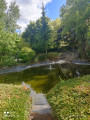bassin au parc cassin
