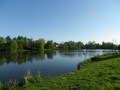 Promenade dans la verdure d´Élancourt