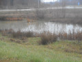 Bassin de rétention