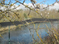 Bassin Minerve