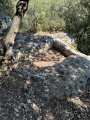 stone-carved basin