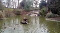 Bassin