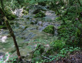 bassine et encore mieux en remontant en peut le ruisseau.