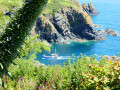 Lizard Point