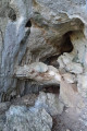 Baume Clauside