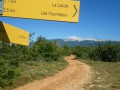 Baume du bélé