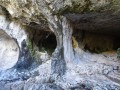 Baume du Chat