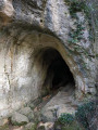 Baume Robert