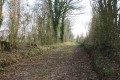Beau chemin