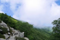 Beau chemin empierré