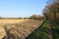 Beau chemin ombragé vers l'Est