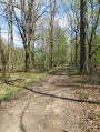 Beau chemin