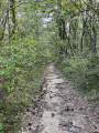 beau chemin