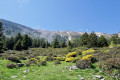 Le Balcon du Canigou depuis Los Masos de Valmanya