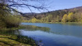 Beau printemps Beau printemps