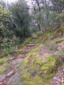 Beau sentier escarpé... Beau sentier escarpé...