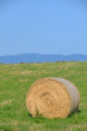 Straw bales facing the Pilat massif
