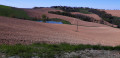 Beauté campagnarde