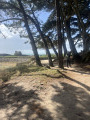 Le Sentier des Douaniers de La Trinité-sur-Mer