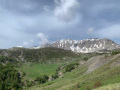 Bec de Lièvre