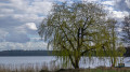 Behler See