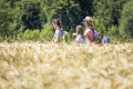 Bei der Alpakafarm