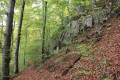 Bei der Kaisereiche - Felsen am Wegesrand
