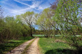 Beigraben Beigraben