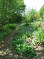 Bel espace vert