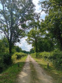 Belle allée cavalière