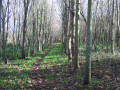 Bord de Goyen et campagne au Sud-Est de Pouldergat
