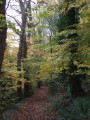 Belle allée