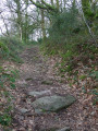 Belle montée Belle montée