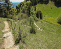 Belle montée