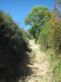 Belle montée